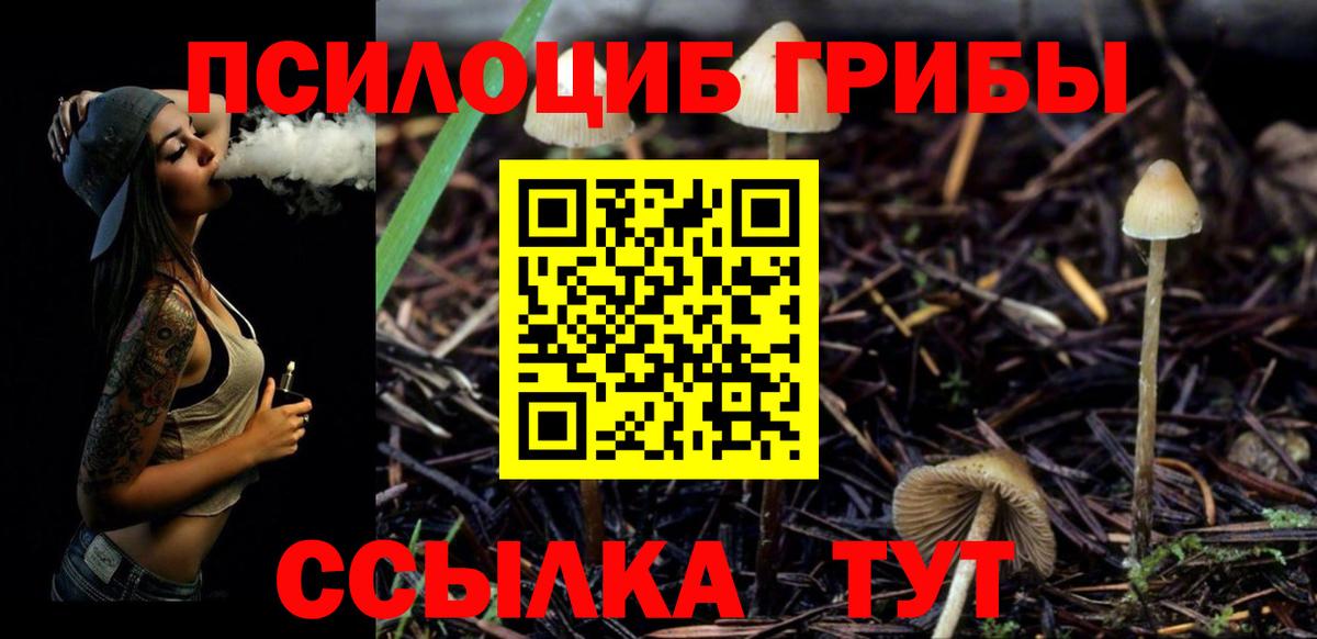 Прохладный  Псилоцибиновые грибы прущие грибы  Вход с VPN 